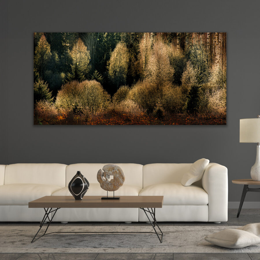 Dutch Forest