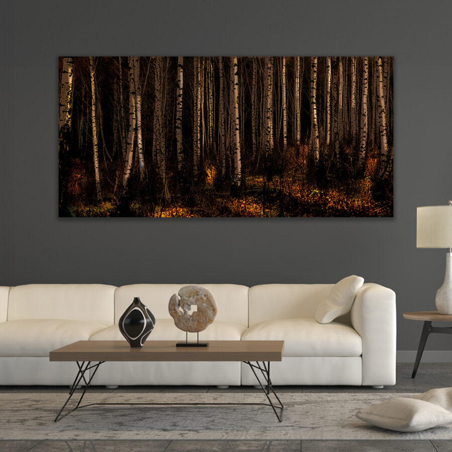 Dutch Forest I