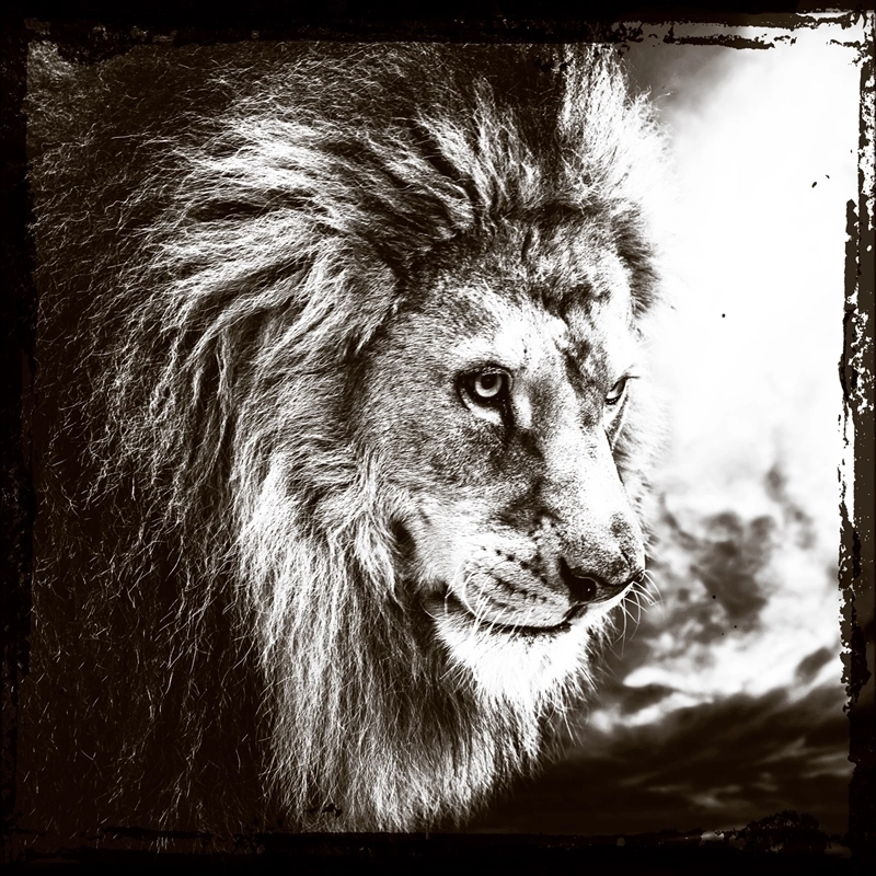 Lion's Prowess