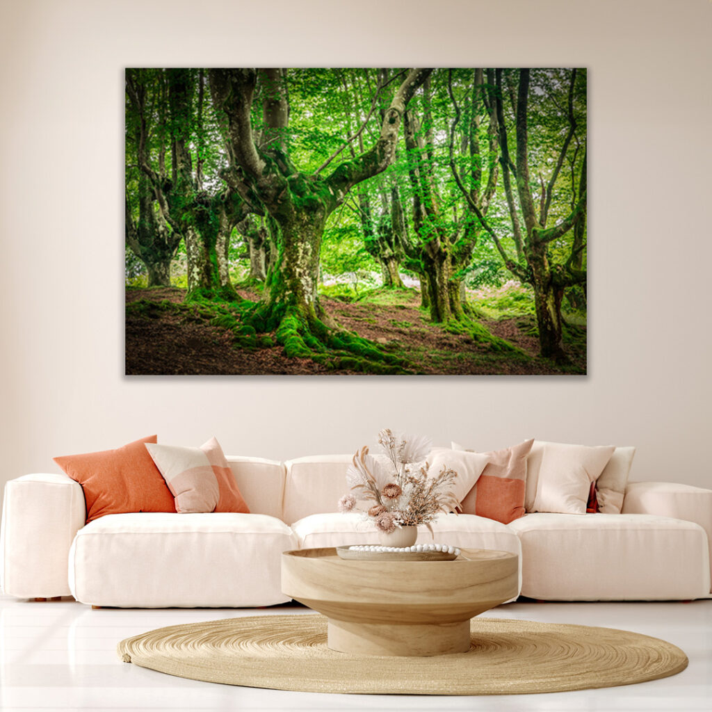 Forest of North Spain