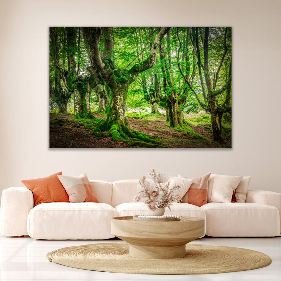 Forest of North Spain