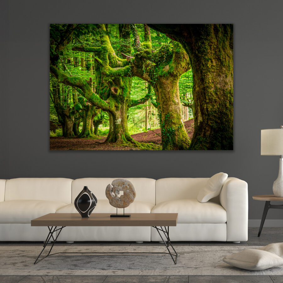 Gorbeia Forest