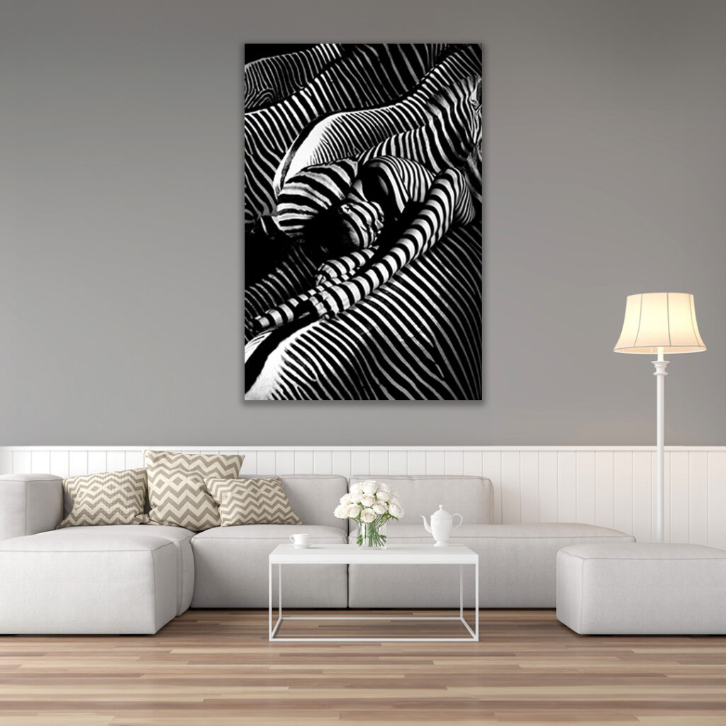 Riding a Zebra