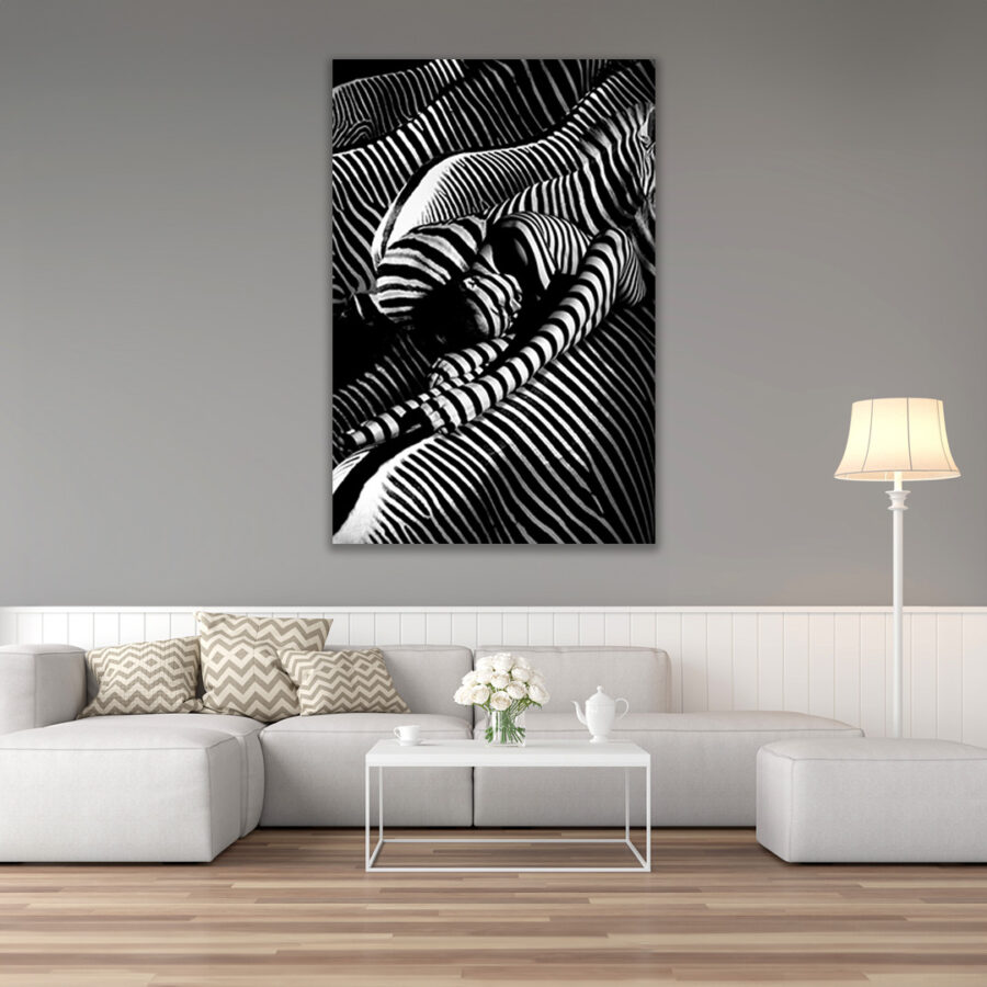 Riding a Zebra